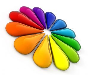 12 Color wheel for art in the design of a flower